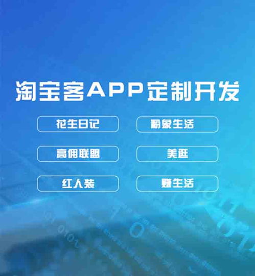 軟件私人定制app開發公司有哪些
