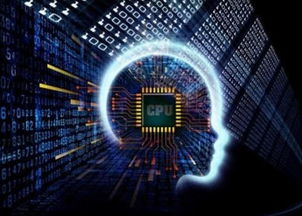 貝塔狗軟件系統(tǒng)定制開發(fā)